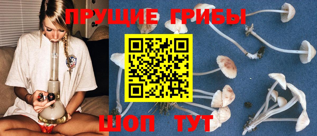 Галлюциногенные грибы Cubensis  закладка  Гусев  Вход с VPN 
